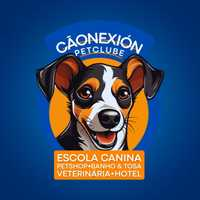 Cãonexión Pet Clube Curitiba